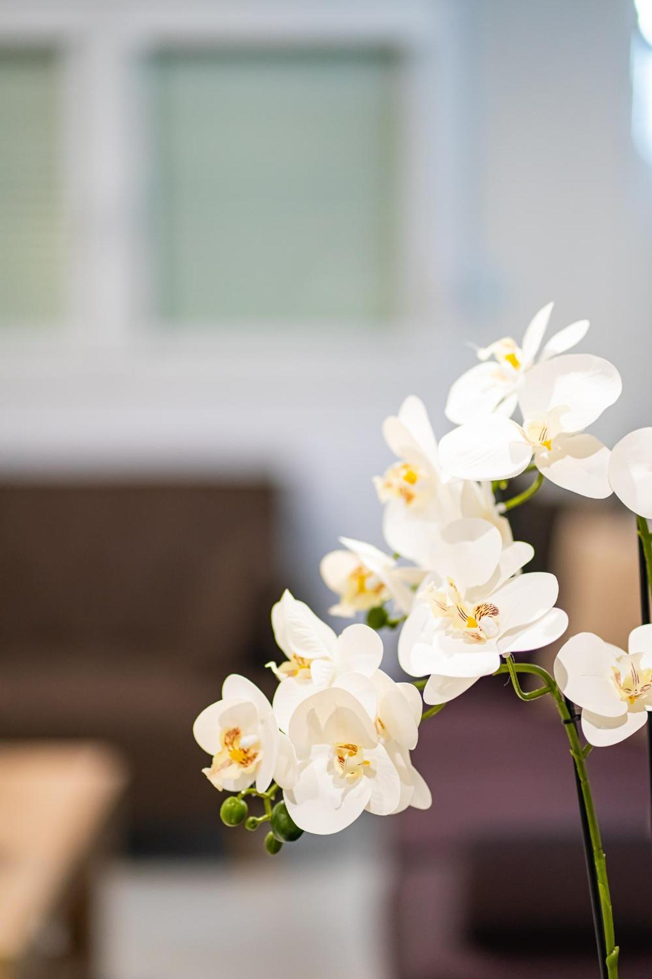 Feel Greek Hospitality #θ005 Apartment *